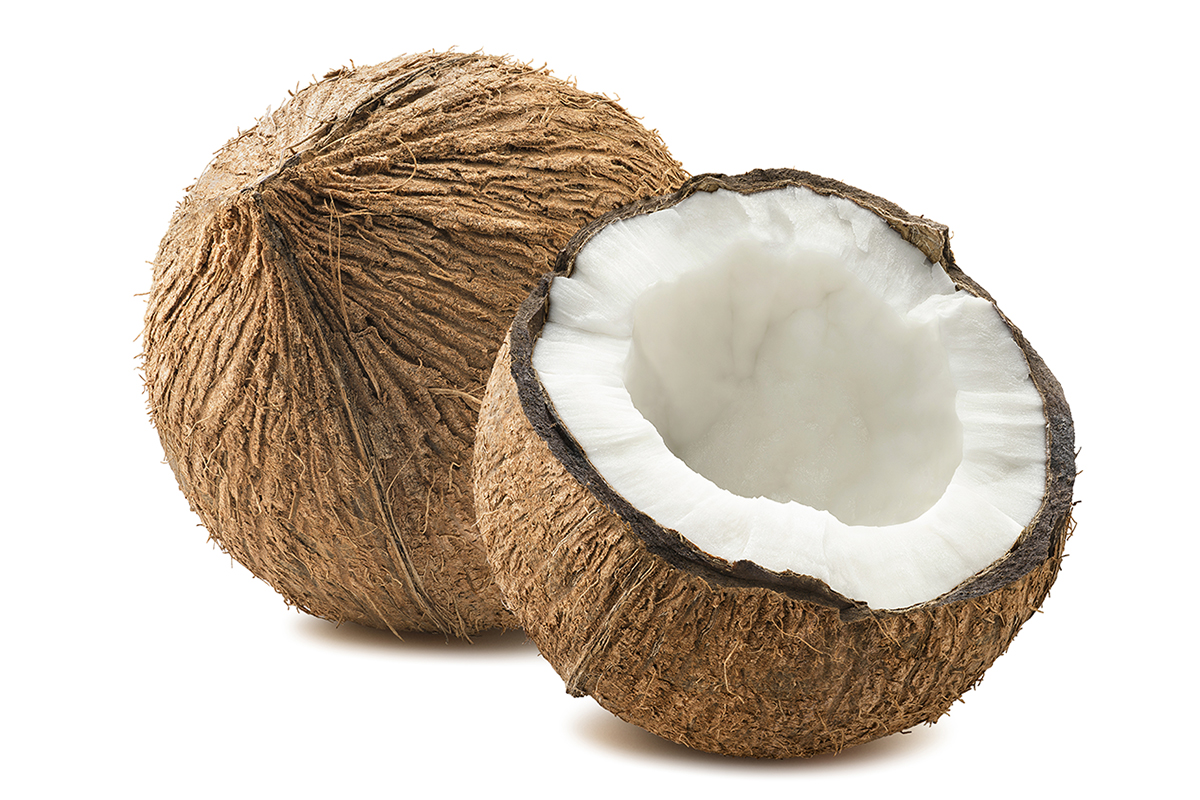 Cocco